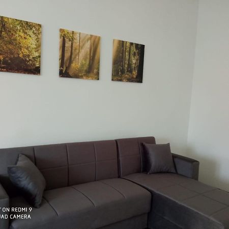 Vercelli Suite Borgo Vercelli Exteriör bild